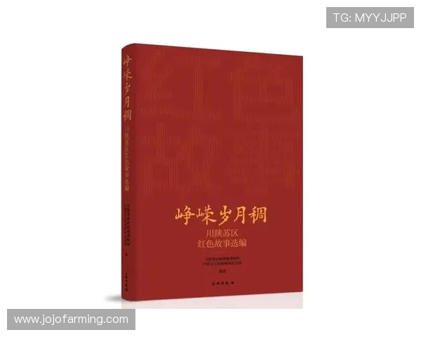 《少帅传奇》：一段风云激荡的岁月，一位传奇人物的崛起